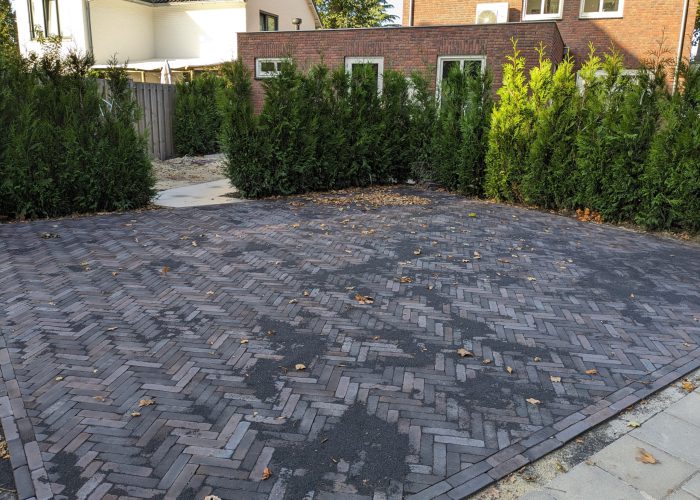 PXL_20231017_144227192