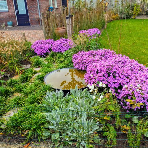 PXL_20241014_063609197-EFFECTS