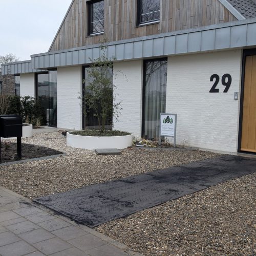 PXL_20250204_152830500