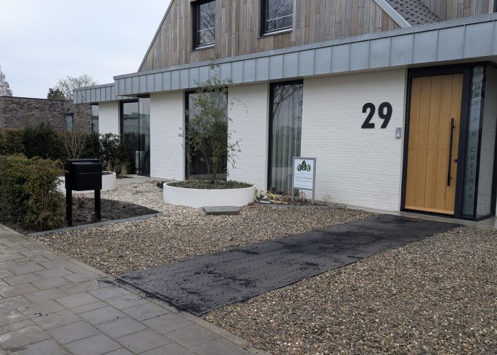 PXL_20250204_152830500