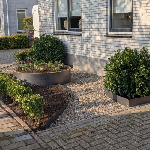 PXL_20250324_075337173