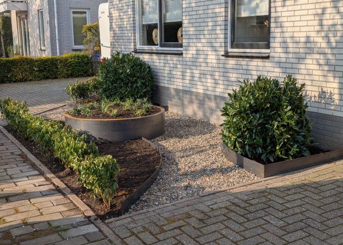 PXL_20250324_075337173