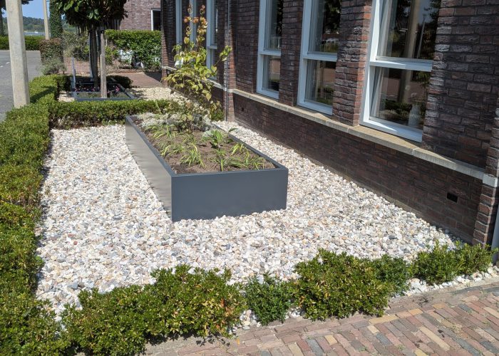 PXL_20250809_120536184