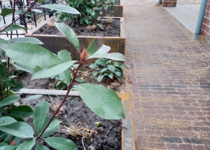 WhatsApp Image 2021-03-13 at 19.16.03