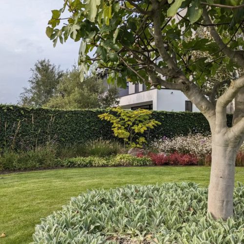 stijlvoltuinen_1703268011_3263193838075040761_46488470482_3